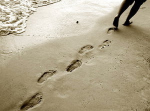 small steps small steps